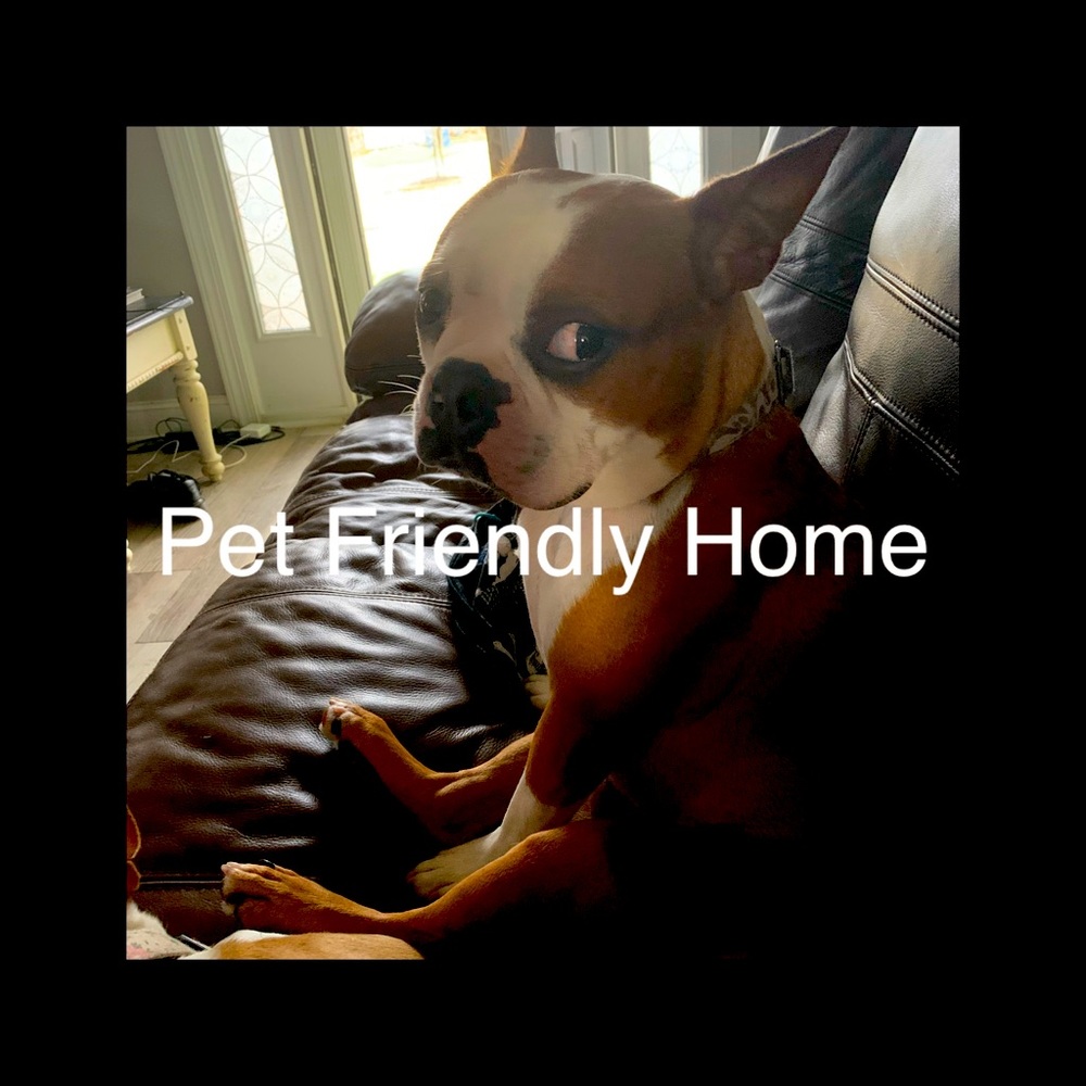 Pet Friendly Home
